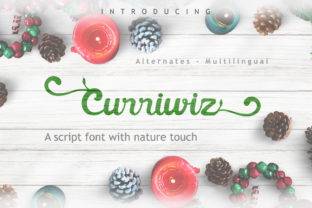 Curriwiz: A Real-World Designer Review