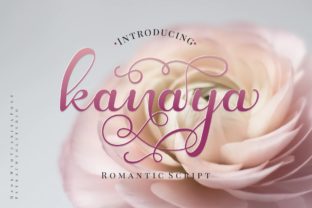 Kanaya: A Modern Script Font for Editorial Design