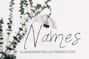 Names: A Modern Handwritten Font for Web Design