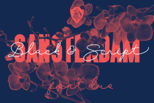 Sansterdam: The Urban Script Font for Bold Marketing